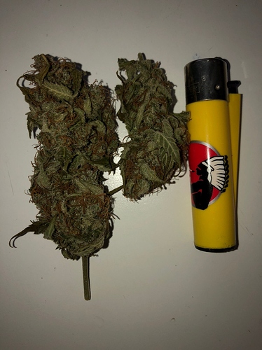 Growreport Bild 12