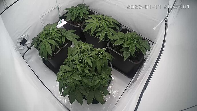 Growreport Bild 18