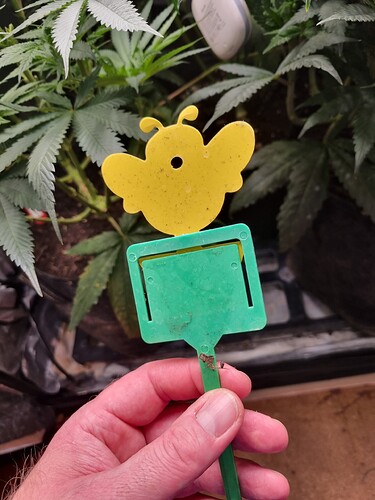 Growreport Bild 25