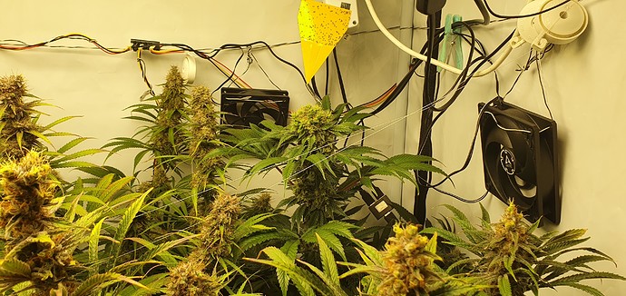 Growreport Bild 22