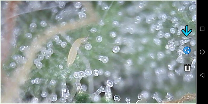 Growreport Bild 1