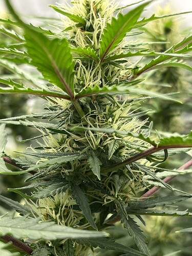 Growreport Bild 12