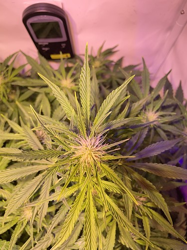 Growreport Bild 4