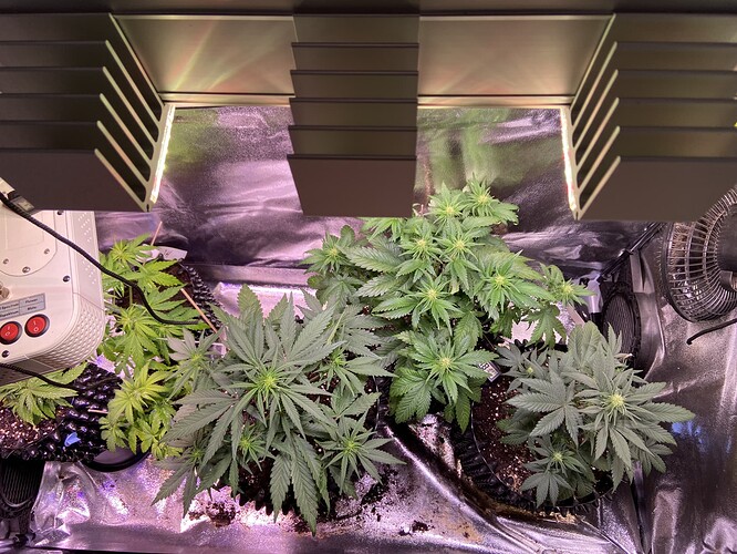 Growreport Bild 11