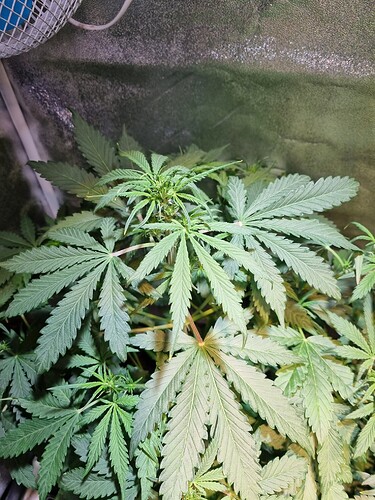 Growreport Bild 8