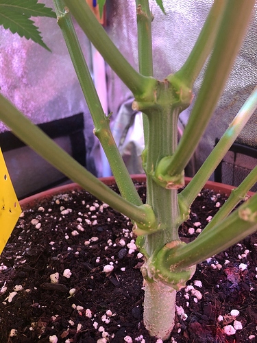 Growreport Bild 22