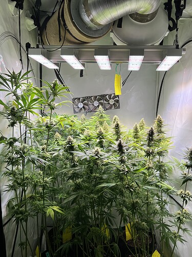 Growreport Bild 3