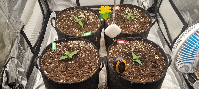 Growreport Bild 12