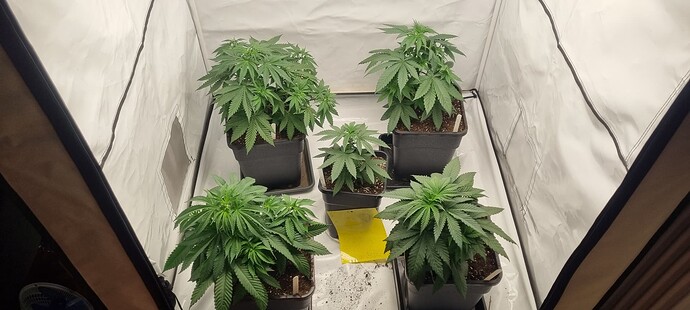 Growreport Bild 16