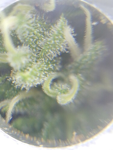 Growreport Bild 4