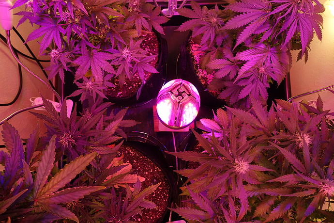 Growreport Bild 9