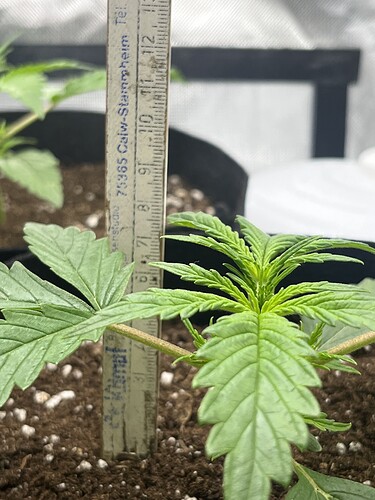 Growreport Bild 22
