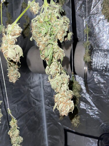Growreport Bild 3