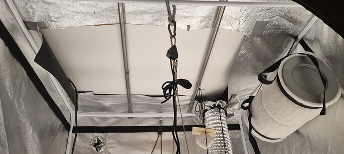 Growreport Bild 19
