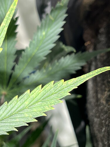 Growreport Bild 26