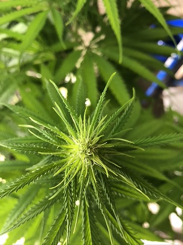 Growreport Bild 12