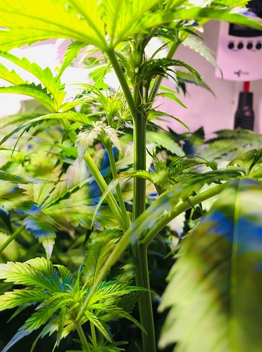 Growreport Bild 4