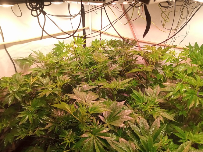 Growreport Bild 10