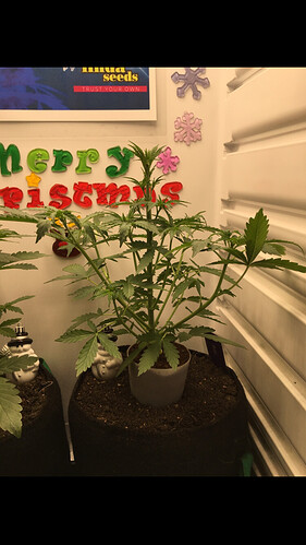 Growreport Bild 40