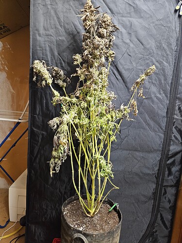 Growreport Bild 10