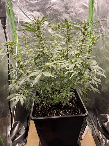 Growreport Bild 22