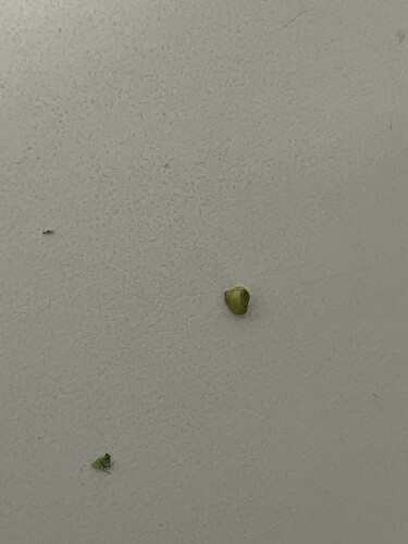 Growreport Bild 9