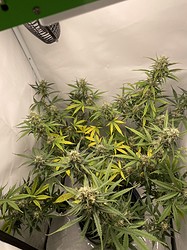 Growreport Bild 11