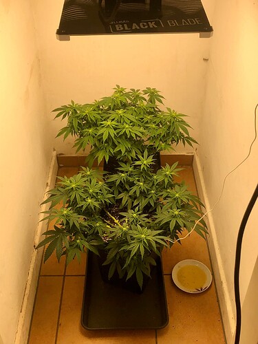 Growreport Bild 2
