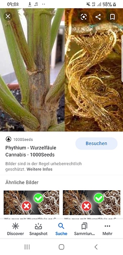 Screenshot_20200921-090240_Google
