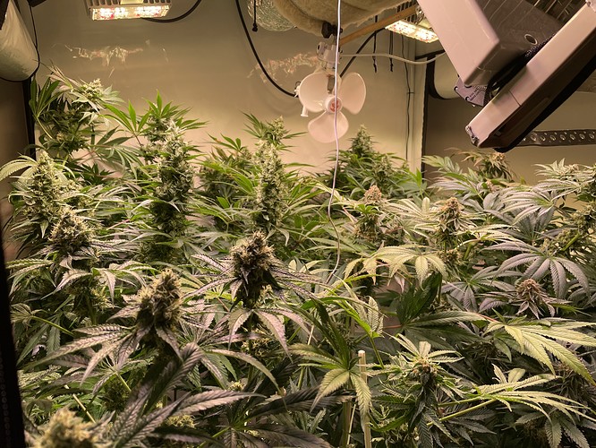 Growreport Bild 5