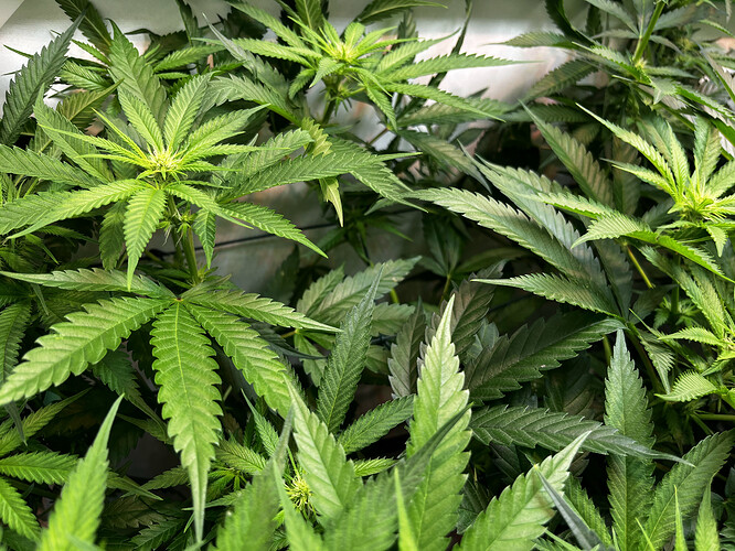 Growreport Bild 21