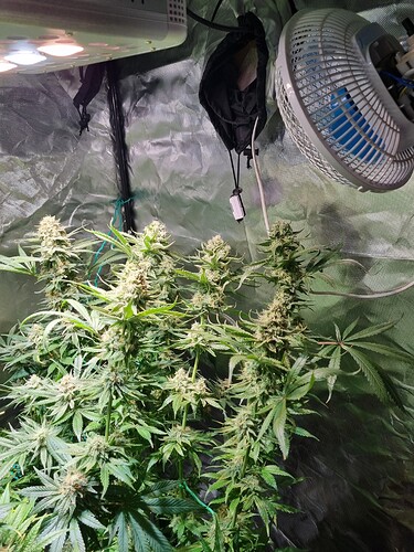 Growreport Bild 16