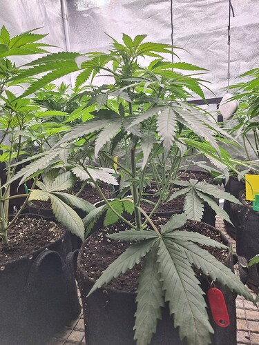 Growreport Bild 15