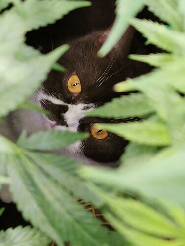 Growreport Bild 2