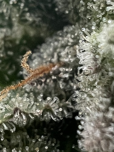 Growreport Bild 18