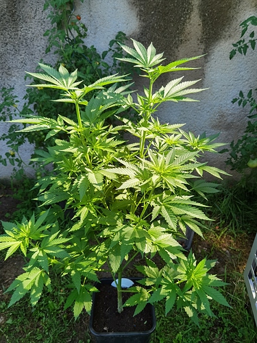 Growreport Bild 10