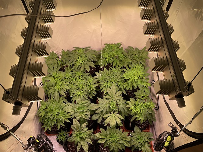 Growreport Bild 2