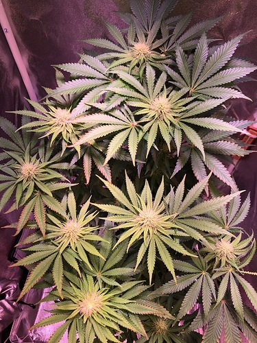 Growreport Bild 12