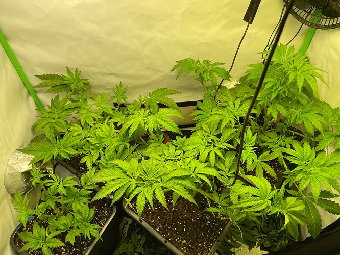 Growreport Bild 21