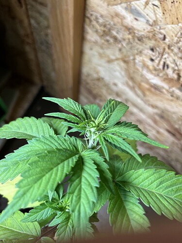 Growreport Bild 9