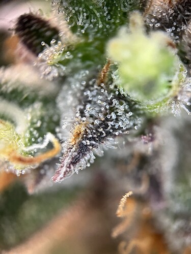 Growreport Bild 20