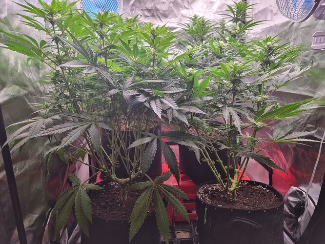 Growreport Bild 14
