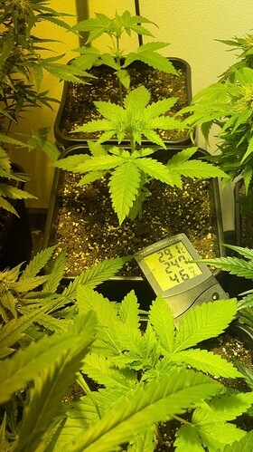 Growreport Bild 10