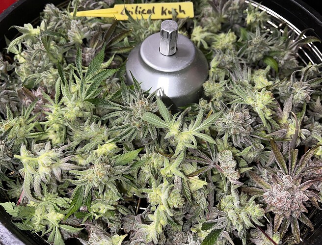 Growreport Bild 21