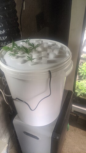 IMG_20231207_000233_716