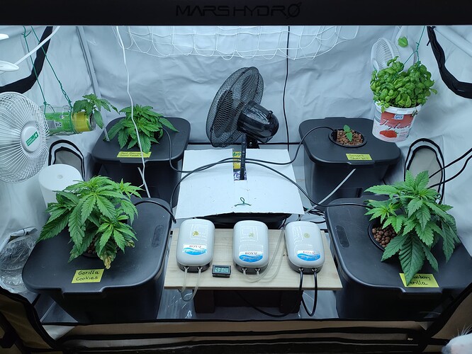 Growreport Bild 11
