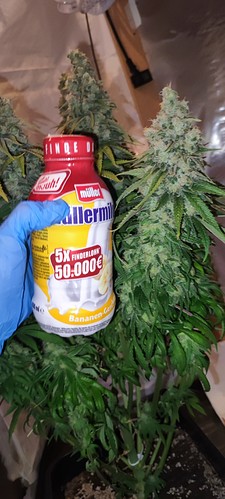 Growreport Bild 16