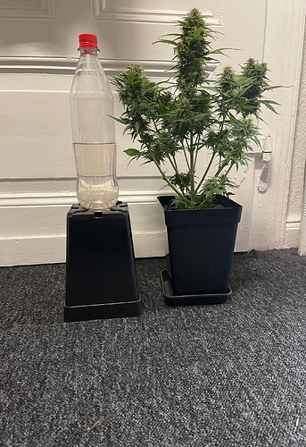 Growreport Bild 14