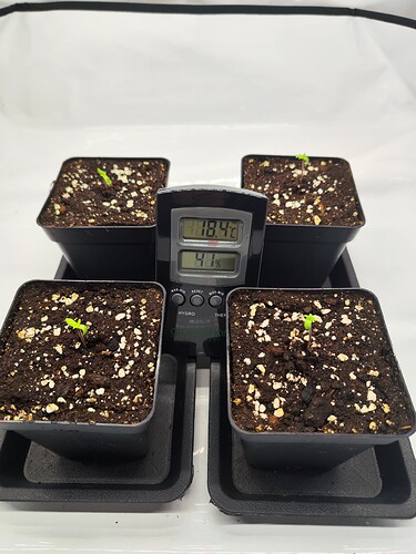 Growreport Bild 1
