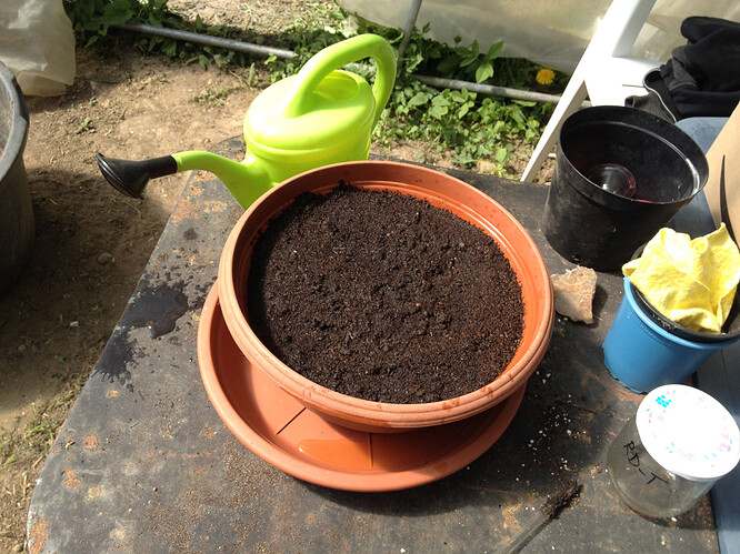 Growreport Bild 82